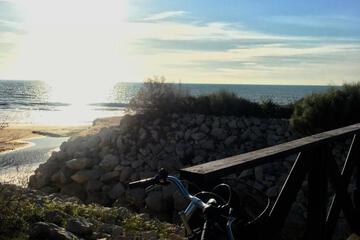 Photo 45
