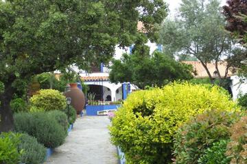 Photo 71