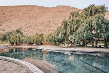 Natural pool
