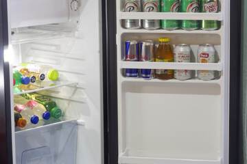 Mini-refrigerator