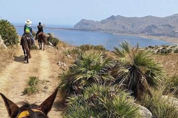 Horseback riding