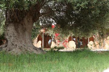 Photo 48