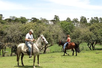 Horseback riding
