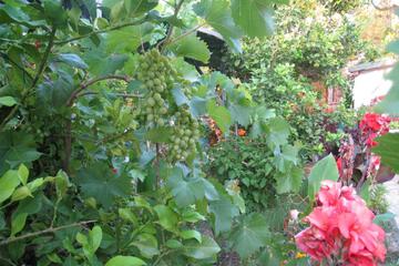 Photo 85