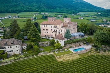 Vineyard