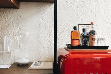 Mini-refrigerator