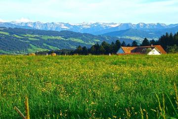 Land view from property