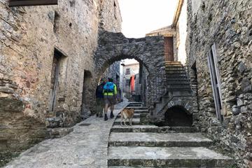 Photo 36