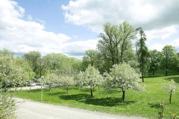 Park view
