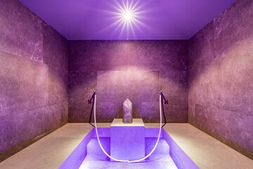 Steam room