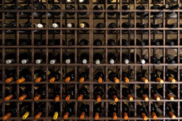 Winery