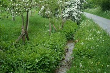 Photo 25