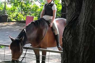 Horseback riding