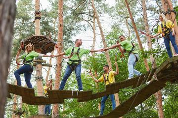 Children's activities