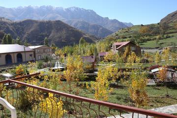 Photo 46
