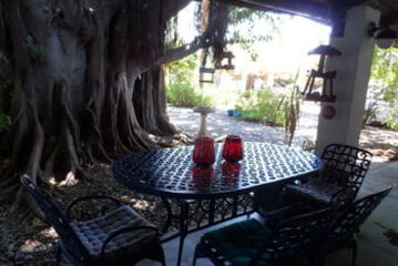 Terrace or Patio