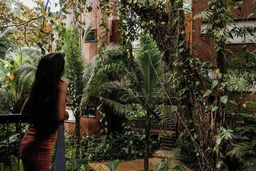 Garden view