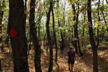 Hiking
