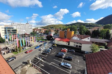 Park view