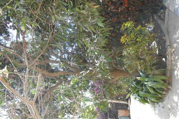 Photo 47