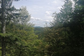 Land view from property