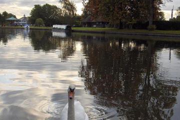Photo 54