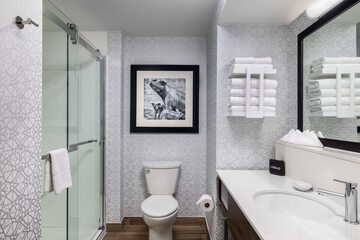 Bathroom shower