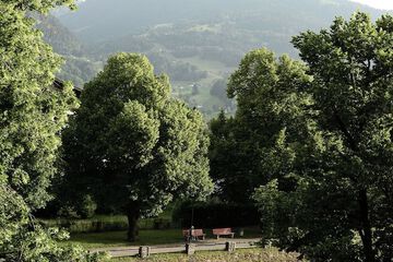 Land view from property