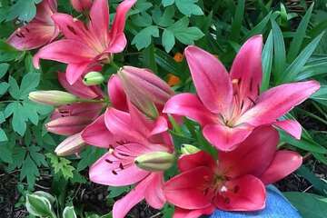 Hotel Exterior 77 of 87