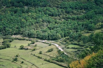 Ecotours