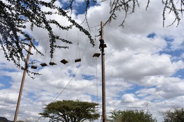 Ropes course (team building)