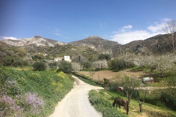 Hiking