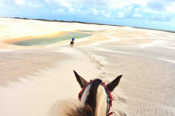 Horseback riding