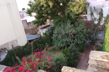 Photo 23
