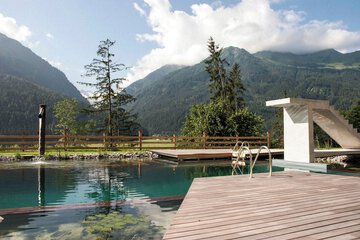 Natural pool