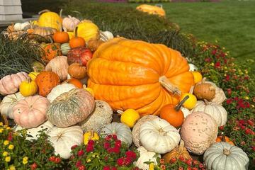 Property Grounds 135 of 137