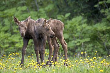 Outdoor Activities 35 of 38