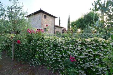 Photo 35