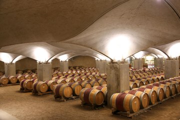 Winery