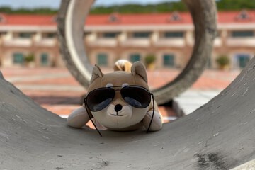 Pet-friendly amenities