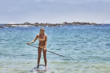 Surfing/boogie boarding