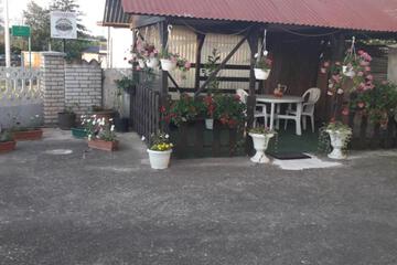 Photo 24