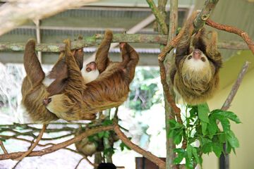 Ecotours