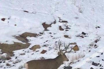 Fitness & Recreational Facilities