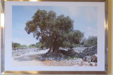 Photo 34