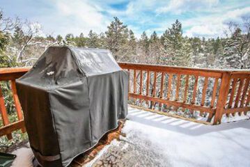 BBQ or Picnic Area