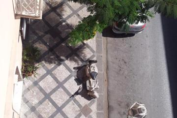 Photo 37