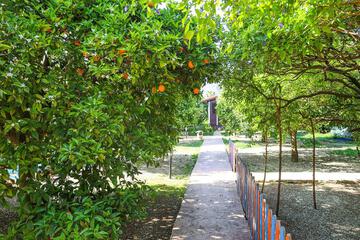 Photo 31