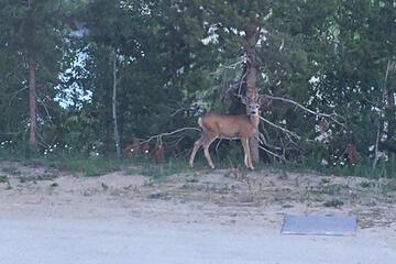 Photo 25