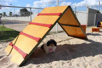 Pet-friendly amenities